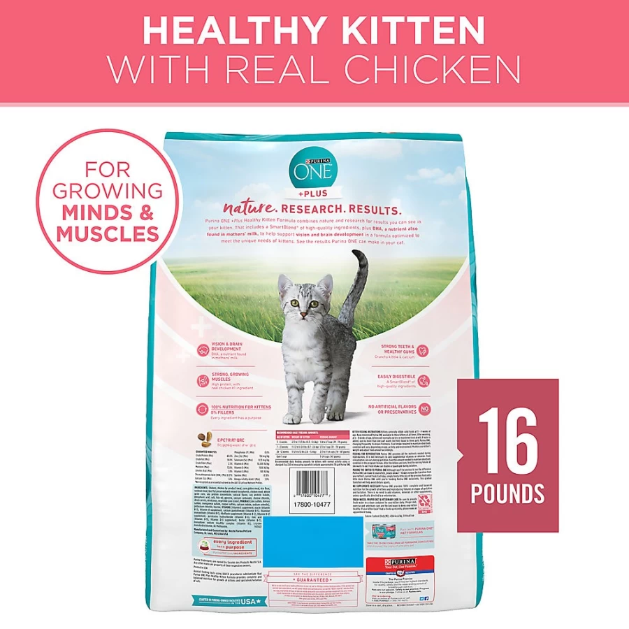 Purina ONE High-Protein Chicken Dry Cat Food for Healthy Kittens - Natural Kitten Food by PetSmart