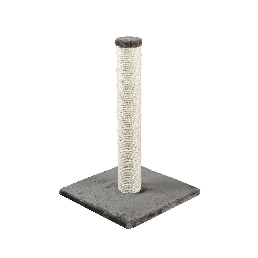 PetSmart Trixie Parla Cat Scratching Post for Indoor Cats