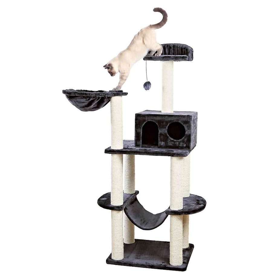 PetSmart Trixie 63-inch Dark Gray Cat Tree with Scratching Posts - Tarragona Pet Climbing Tower for Indoor Cats