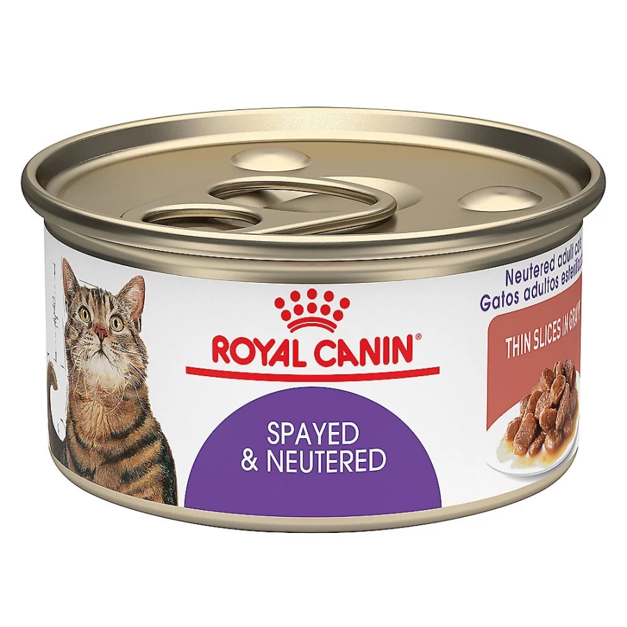 PetSmart Royal Canin Spayed/Neutered Adult Wet Cat Food in Gravy - Thin Slices, 3oz Cans