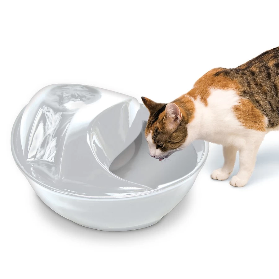 PetSmart Ceramic Raindrop Pet Fountain - Pioneer Pet Water Dispenser for Cats & Dogs