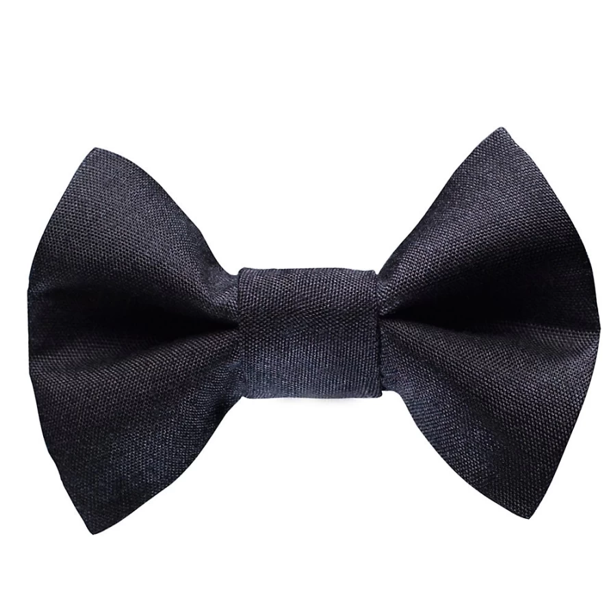 "PetSmart Sweet Pickles Cat Bow Tie - Back to Business Style Pet Accessory"