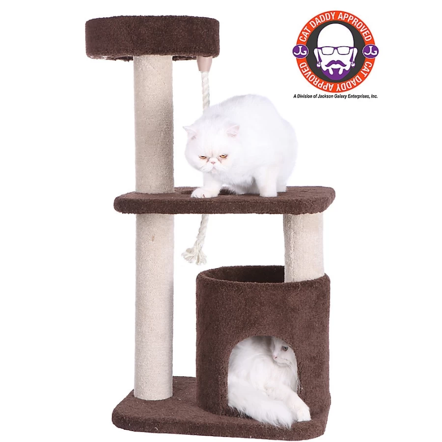 PetSmart Armarkat 37-inch Tall Cat Tree with Real Wood and Plush Carpet in Coffee Brown - Premium Scratching Post for Cats