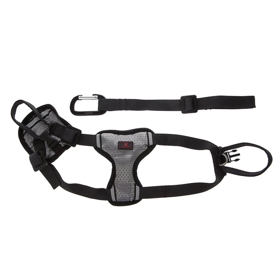 PetSmart Top Paw No-Pull Travel Dog Harness for Safe & Comfortable Walks