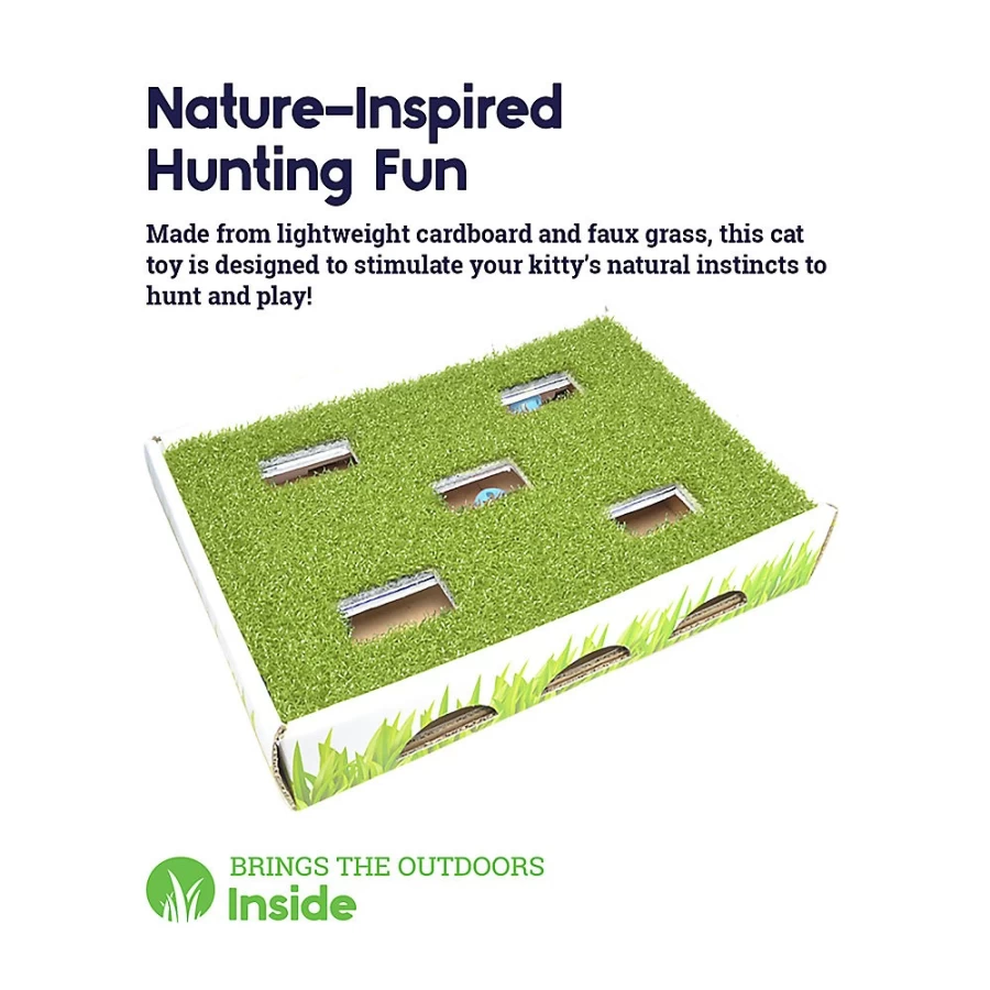PetSmart Grass Patch Hunting Box Cat Toy - Interactive Play for Indoor Cats