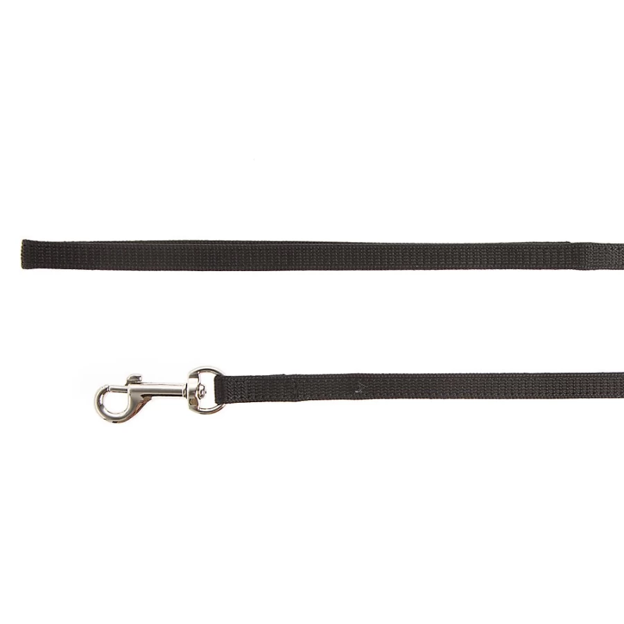 PetSmart Grreat Choice Cat Leash - Safe & Comfortable Cat Walking Leash for Outdoor Adventures