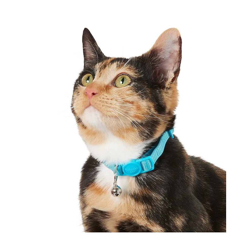 PetSmart Grreat Choice Adjustable Breakaway Kitten Collar - Safe & Comfortable Kitten Safety Collar