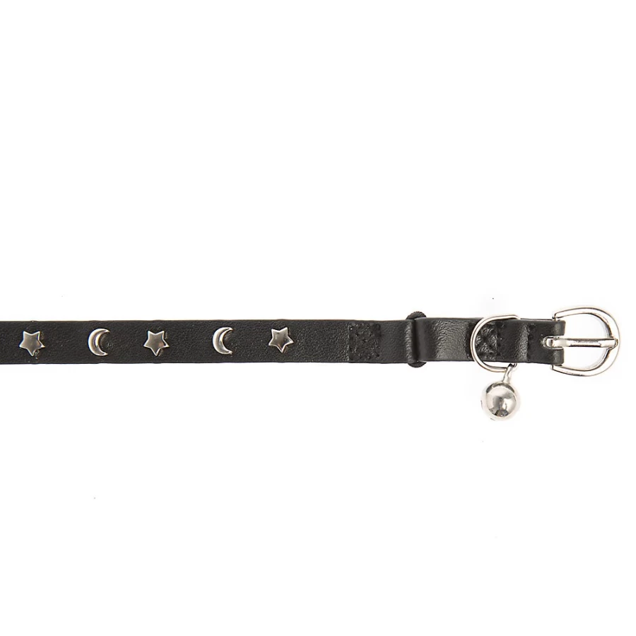 PetSmart Whisker City Moon & Stars Studded Cat Collar - Adjustable Kitten Collar with Sparkling Studs