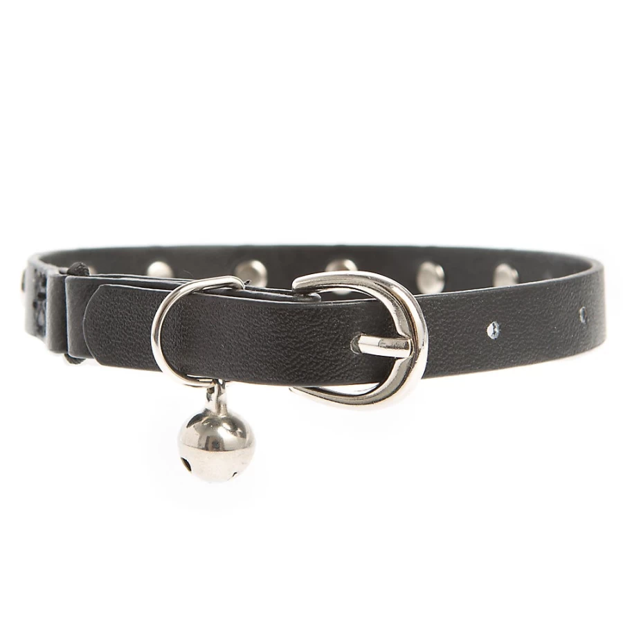 PetSmart Whisker City Moon & Stars Studded Cat Collar - Adjustable Kitten Collar with Sparkling Studs