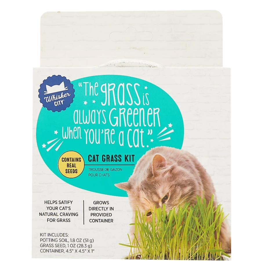 PetSmart Whisker City Cat Grass Growing Kit - Organic Wheatgrass for Indoor Cats, Healthy Digestive Aid