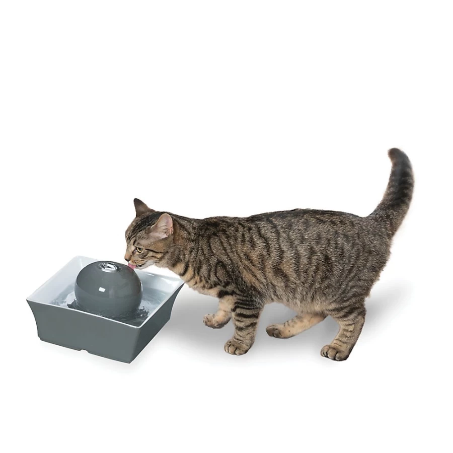 PetSmart Drinkwell Seascape Pet Fountain - Automatic Cat & Dog Water Dispenser with Filter