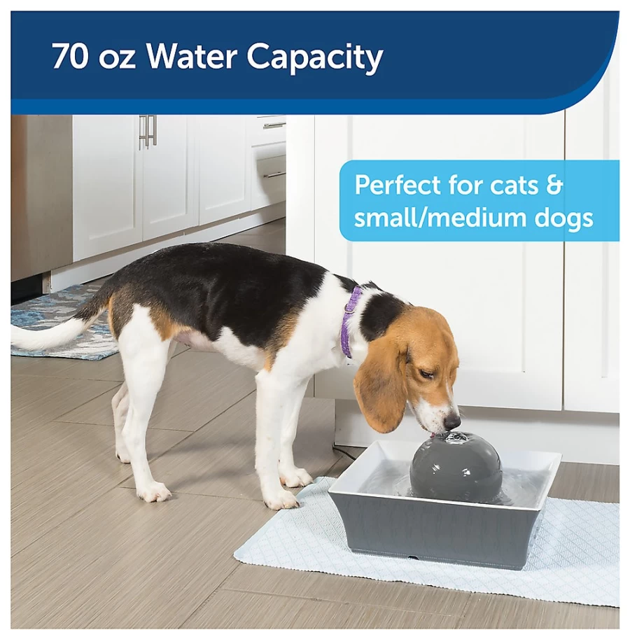PetSmart Drinkwell Seascape Pet Fountain - Automatic Cat & Dog Water Dispenser with Filter