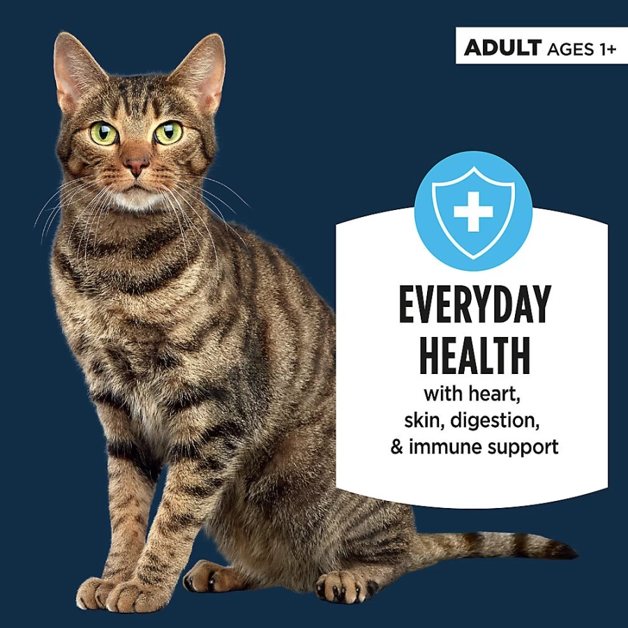 PetSmart Authority Everyday Health Adult Cat Wet Food Pate - 5.5 Oz, With Grains, Nutrient-Rich Formula