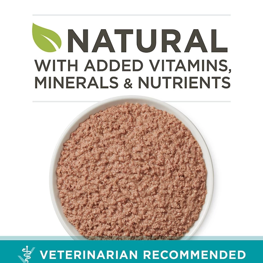 Purina ONE Grain Free Kitten Wet Food for Healthy Growth - 3.33 oz, Corn Free Formula | PetSmart