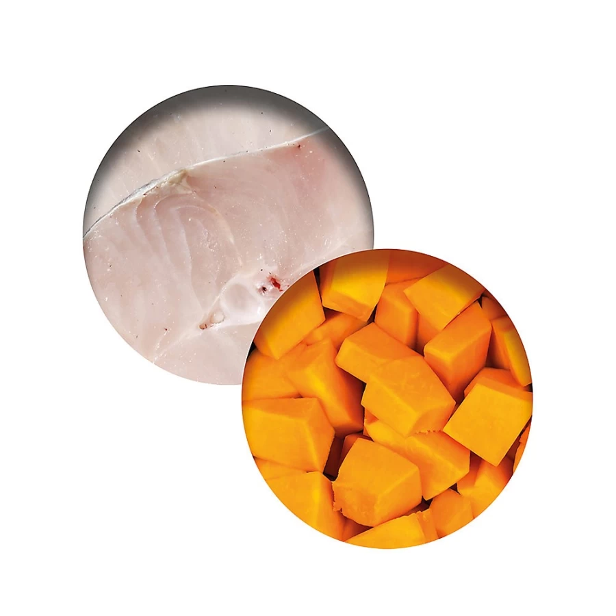 PetSmart Catit Whitefish & Pumpkin Low Fat Gravy Adult Cat Food - Fish Dinner for Cats