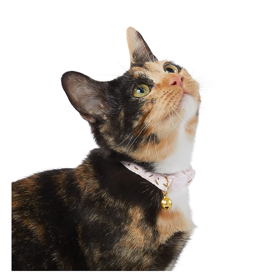 PetSmart Whisker City Gold Sprinkles Quick-Release Kitten Collar - Safe Breakaway Design for Cats