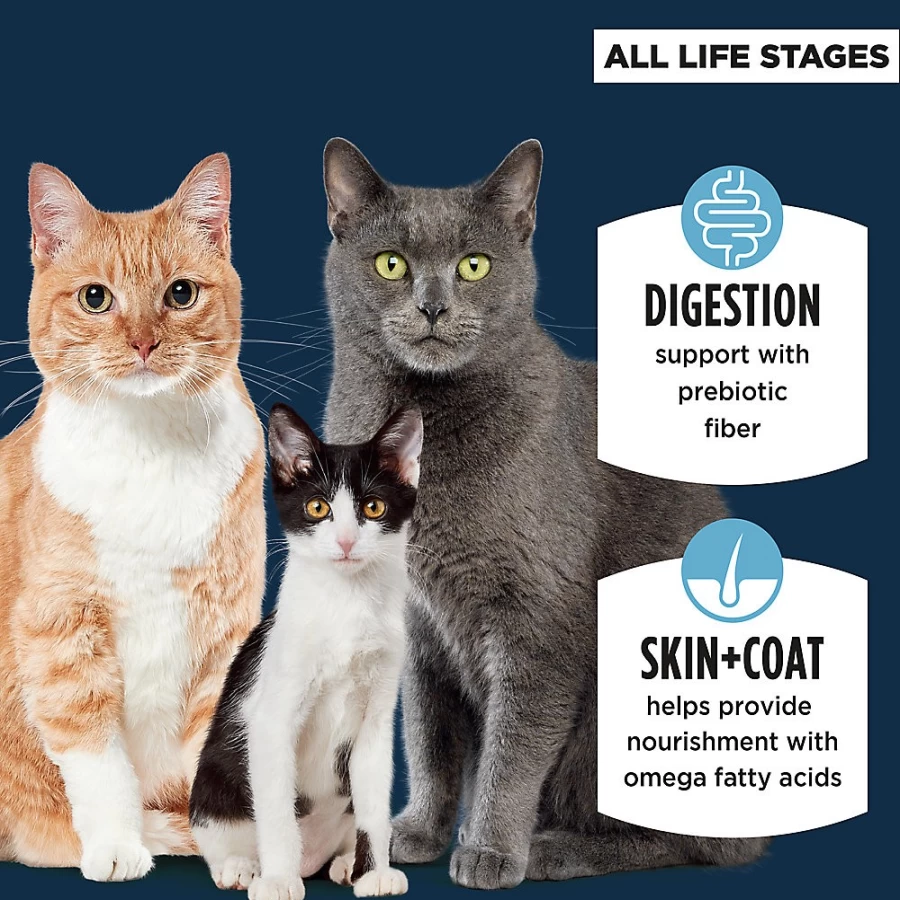 PetSmart Authority Sensitive Stomach Dry Cat Food - Turkey & Rice Recipe, With Grains for Digestive Health