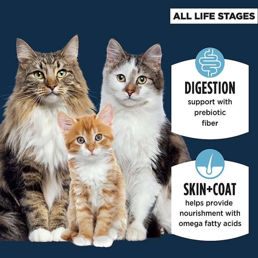 PetSmart Sensitive Stomach Cat Food - Grain-Included Ocean Whitefish & Rice Recipe Dry Kibble