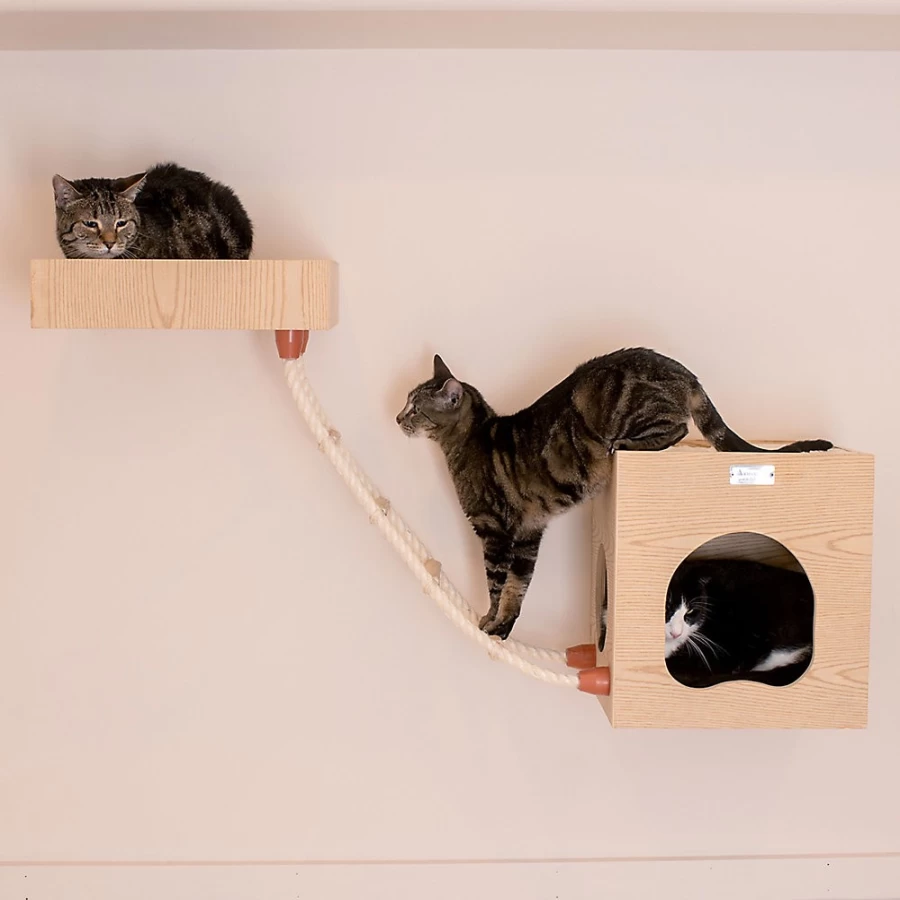 PetSmart Armarkat Wall-Mounted Cat Climbing Shelf - Real Wood, Natural, Space-Saving Cat Tree Perch for Indoor Cats