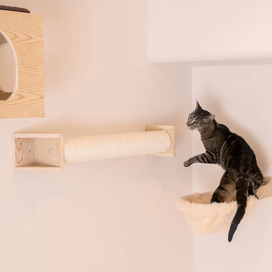 PetSmart Armarkat Solid Wood Wall-Mounted Cat Scratcher for Climbing & Scratching