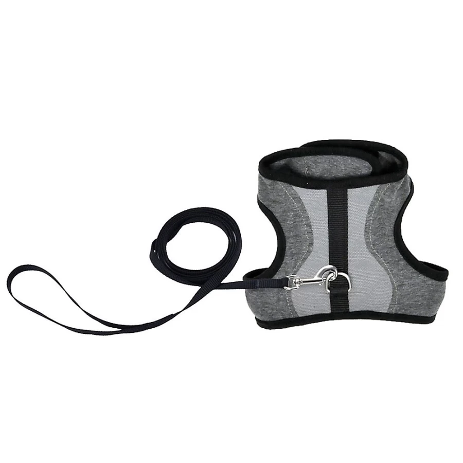 PetSmart Adjustable Soft Wrap Cat Harness with 6-Foot Leash for Comfort & Security