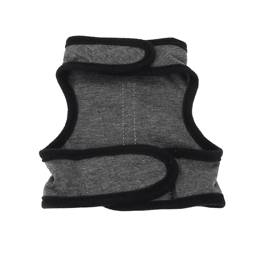 PetSmart Adjustable Soft Wrap Cat Harness with 6-Foot Leash for Comfort & Security