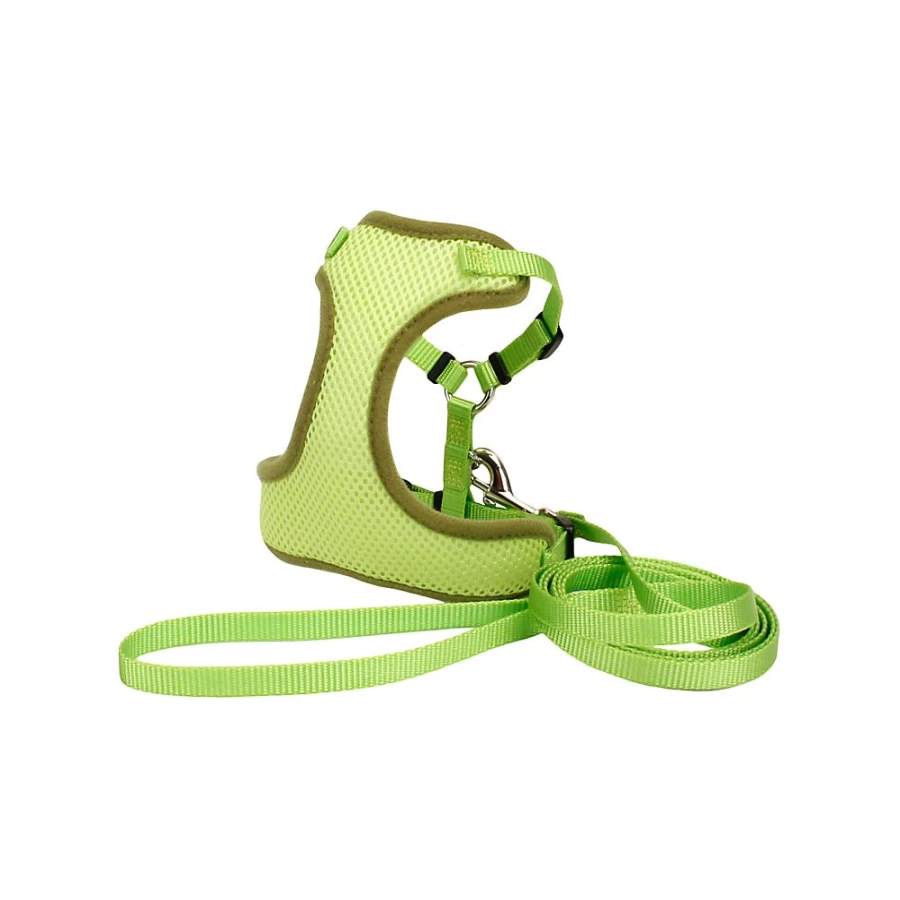 PetSmart Adjustable Soft Comfort Cat Harness with 6-Foot Leash for Safe Outdoor Walking