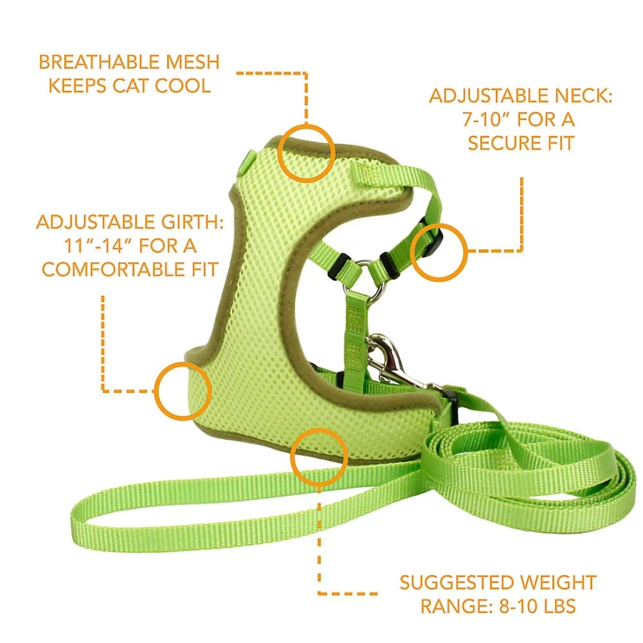 PetSmart Adjustable Soft Comfort Cat Harness with 6-Foot Leash for Safe Outdoor Walking
