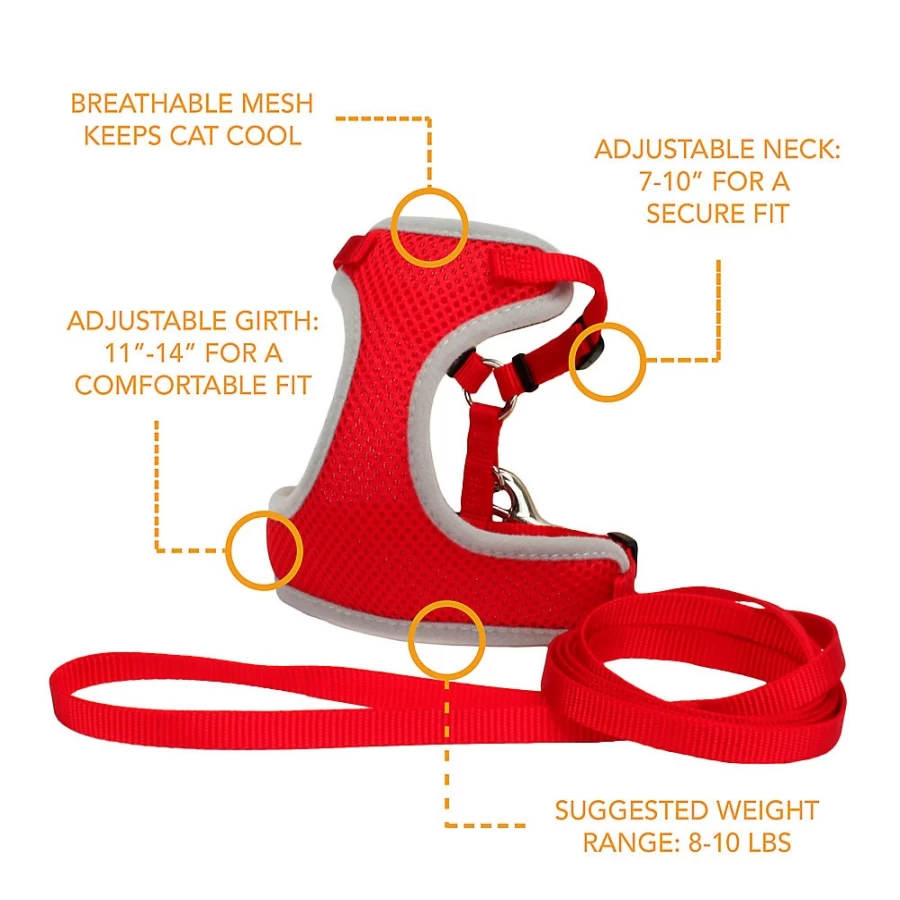 PetSmart Adjustable Soft Cat Harness with 6-Foot Leash - Personalized Comfort for Coastal Pets