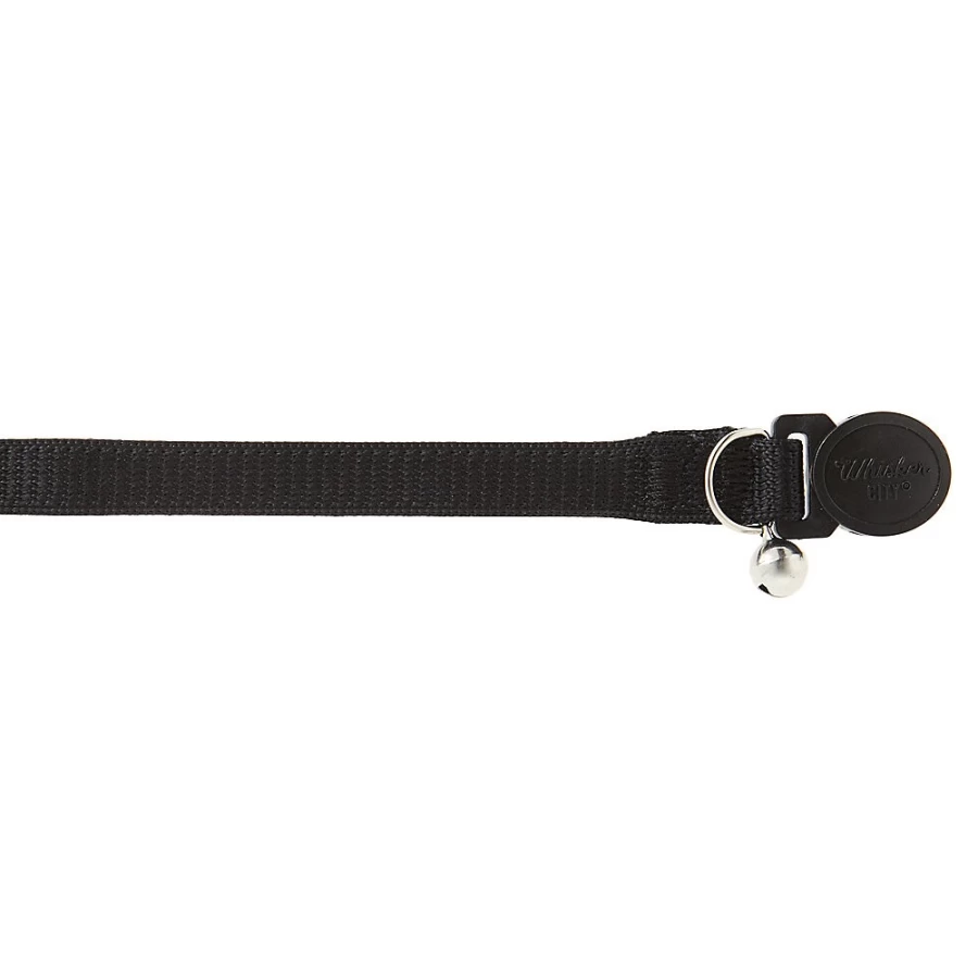 PetSmart Whisker City Easy Release Kitten Cat Collar - Safe Breakaway Kitten Collar for Comfort & Safety