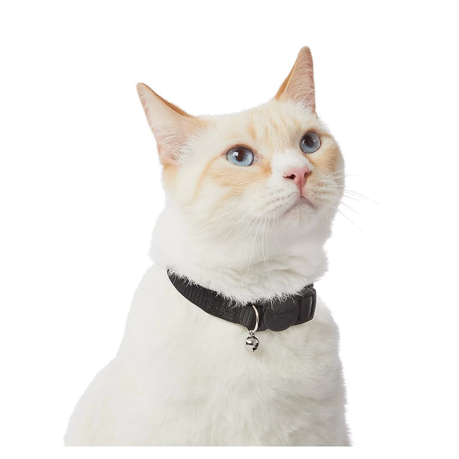 PetSmart Whisker City Easy Release Kitten Cat Collar - Safe Breakaway Kitten Collar for Comfort & Safety