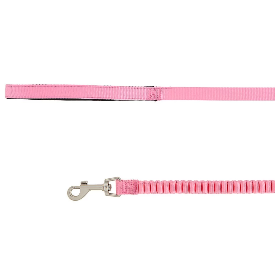 PetSmart Whisker City 3.5-Foot Bungee Cat Leash for Safe & Comfortable Walks