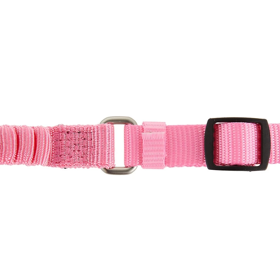 PetSmart Whisker City 3.5-Foot Bungee Cat Leash for Safe & Comfortable Walks