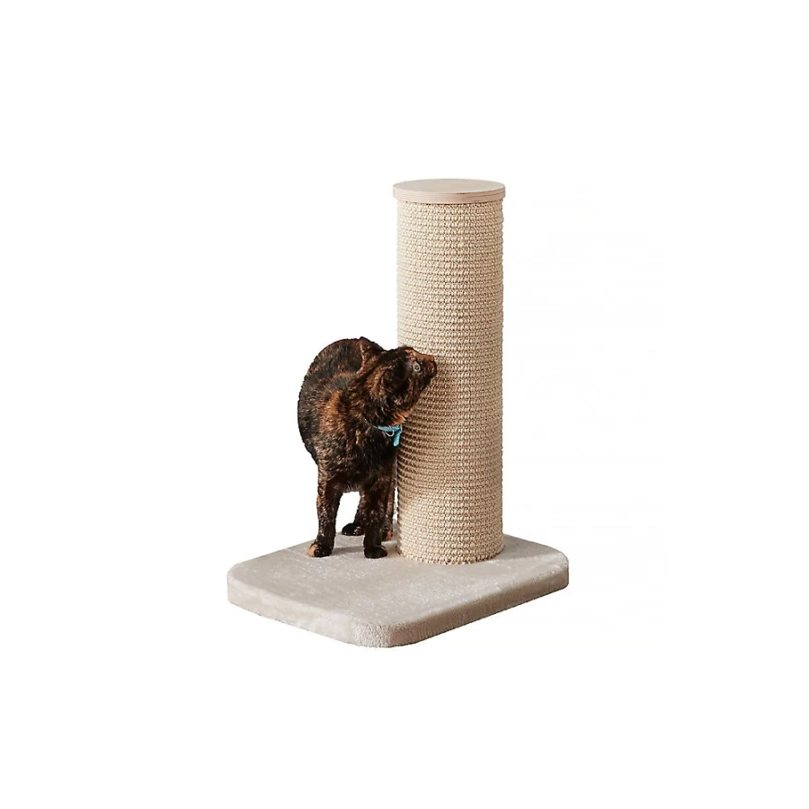 PetSmart Two By Two 24-inch Deluxe European Cat Scratching Post for Indoor Cats, Beige