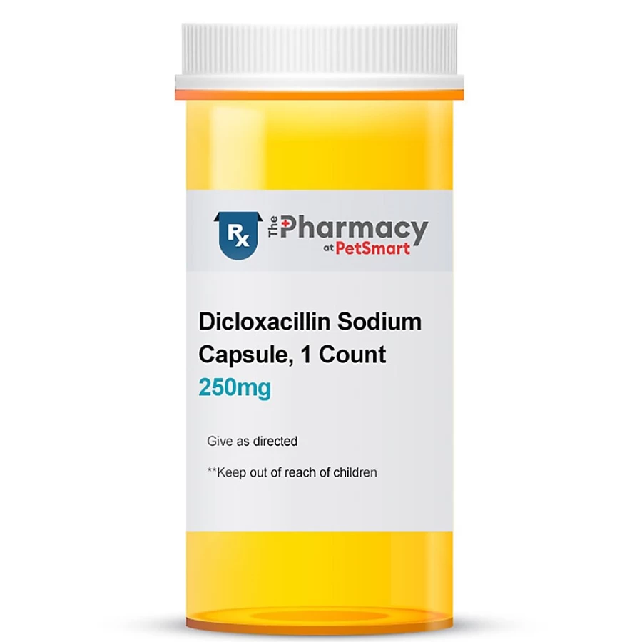 PetSmart Dicloxacillin Sodium Capsules - 250mg & 500mg Dosage Options