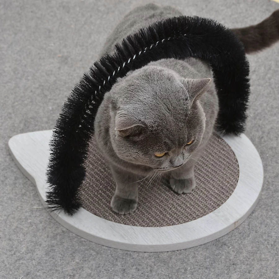 PetSmart NiftyCat Self-Grooming Massager & Scratching Pad for Cats