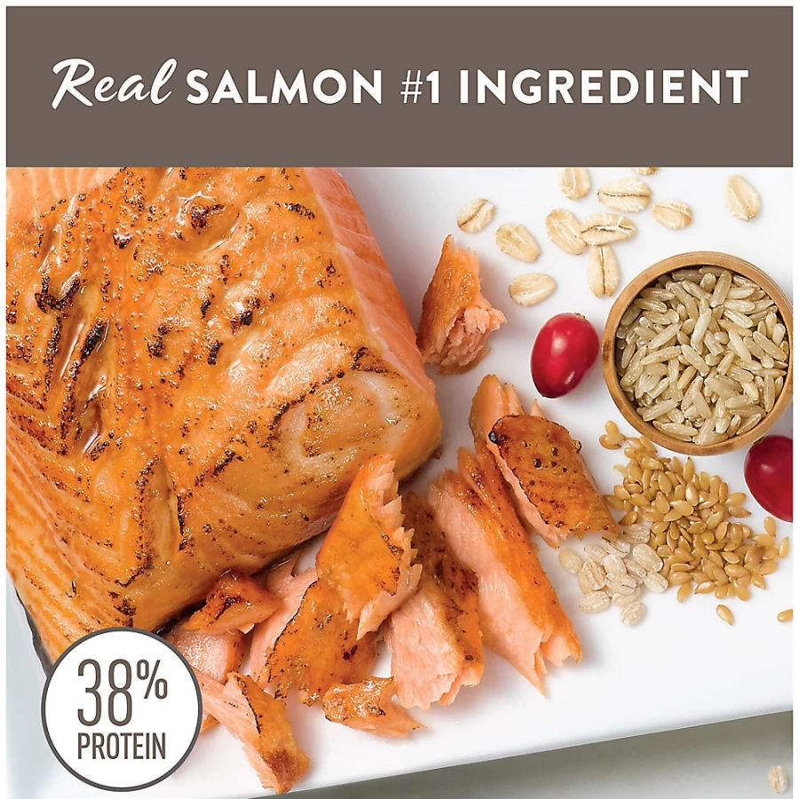 PetSmart Simply Nourish Salmon & Grain Indoor Kitten Dry Cat Food - Natural Recipe