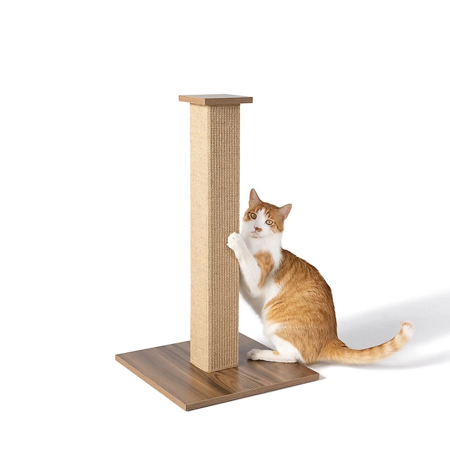 PetSmart Whisker City Durable Sisal Cat Scratching Post for Indoor Cats