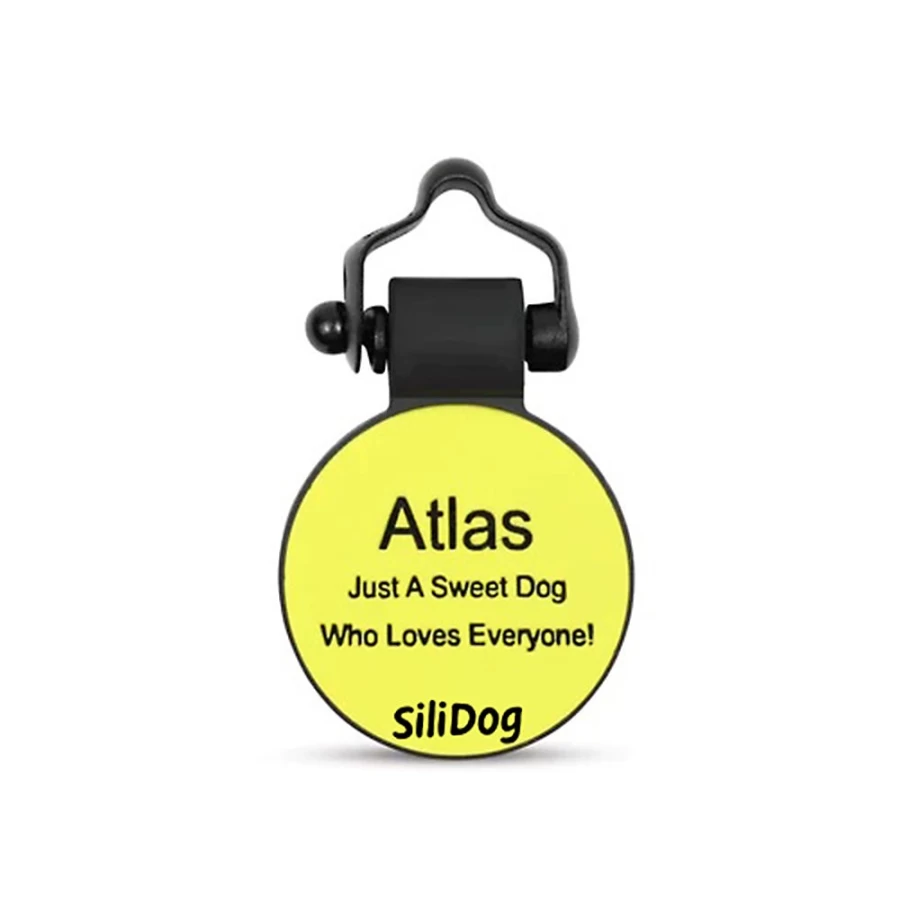 PetSmart Personalized Silicone Dog Tag - Silent ID Tag for Dogs and Cats, Durable and Noise-Free Pet Collar Tag