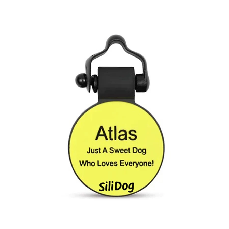 PetSmart Personalized Silicone Dog Tag - Silent Tennis Ball ID Tag for Dogs and Cats