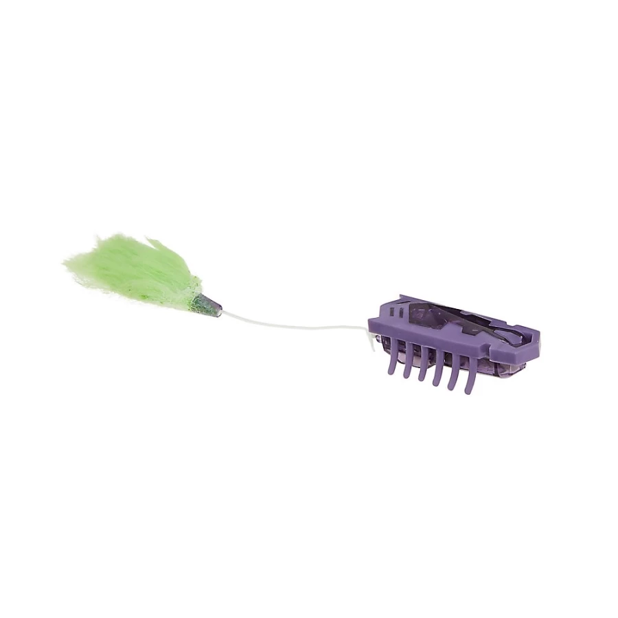 PetSmart Whisker City Nano Robotic Bug - Interactive Automatic Cat Toy for Play & Exercise