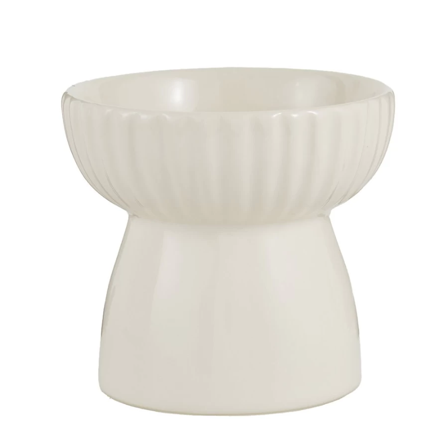 PetSmart Whisker City Boho Ivy Raised Cat Food Bowl, 1.25 Cup Capacity, Elevated Ceramic Dish for Cats, Stylish and Functional Pet Feeder