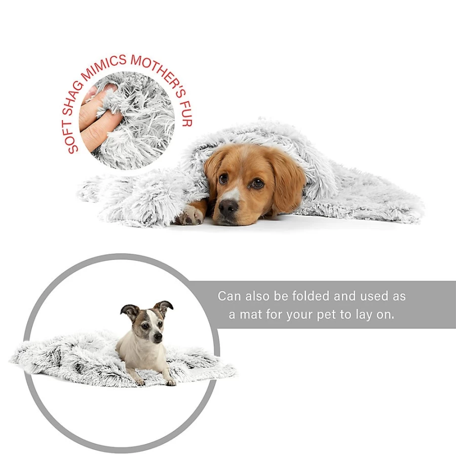 PetSmart Sheri Shag Throw Blanket for Cats and Dogs - Best Friends Cozy Pet Blanket