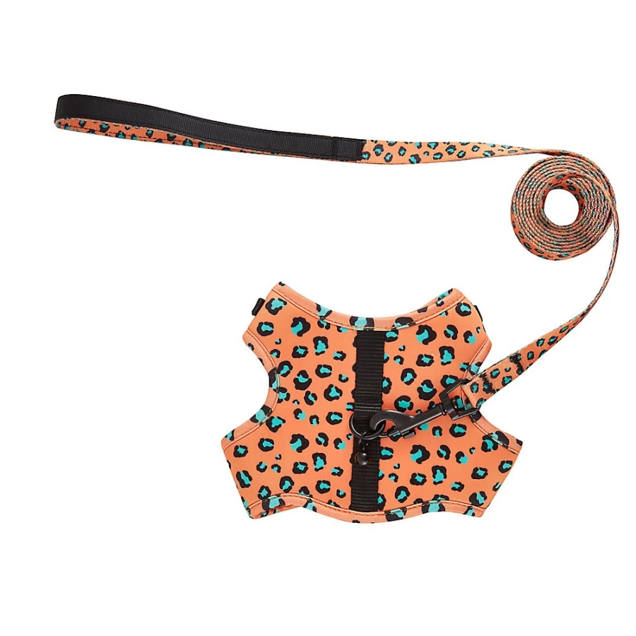 PetSmart Cheetah Print Cat Harness and Leash Combo for Safe Outdoor Adventures