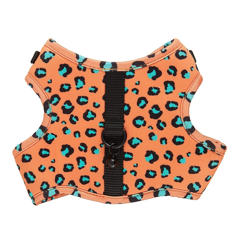 PetSmart Cheetah Print Cat Harness and Leash Combo for Safe Outdoor Adventures