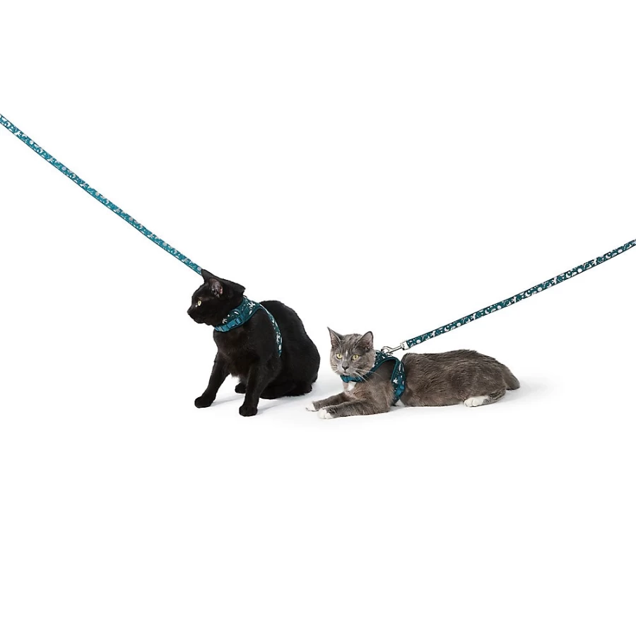 PetSmart Whisker City Astrology Cat Harness and Leash Set for Safe Outdoor Adventures
