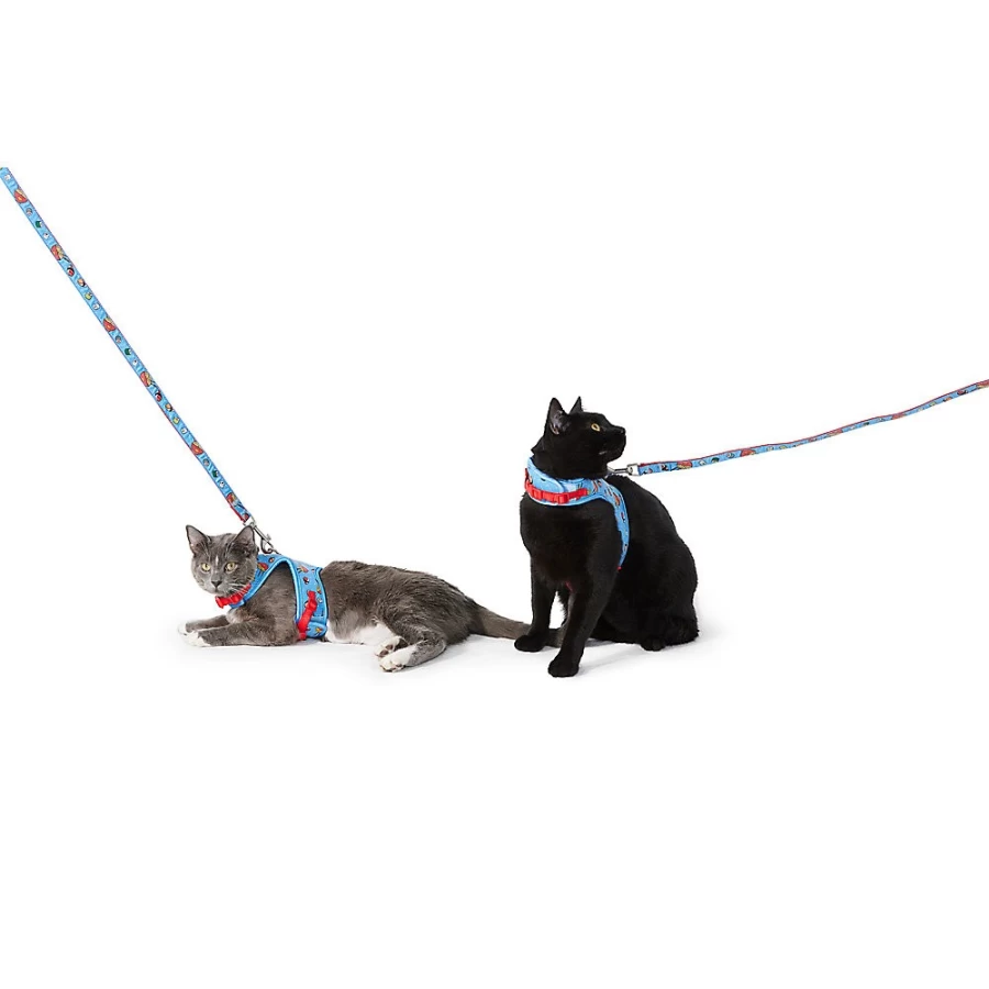 PetSmart Whisker City Cat Leash & Harness Combo - Ramen Sushi Themed Pet Accessories