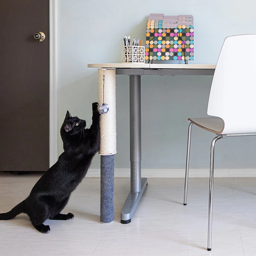 PetSmart Hauspanther Cat Scratching Post with Sisal for Indoor Cats