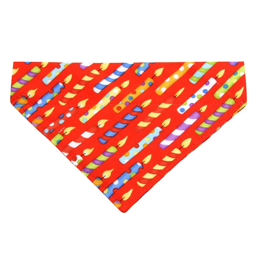 PetSmart Cat Bandana - Slide-On Birthday Party Candles by Cleo for Pets