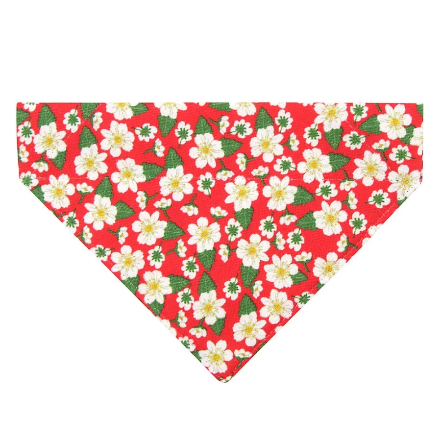 PetSmart Cleo Berry Blossom Floral Slide-On Cat Bandana for Pets